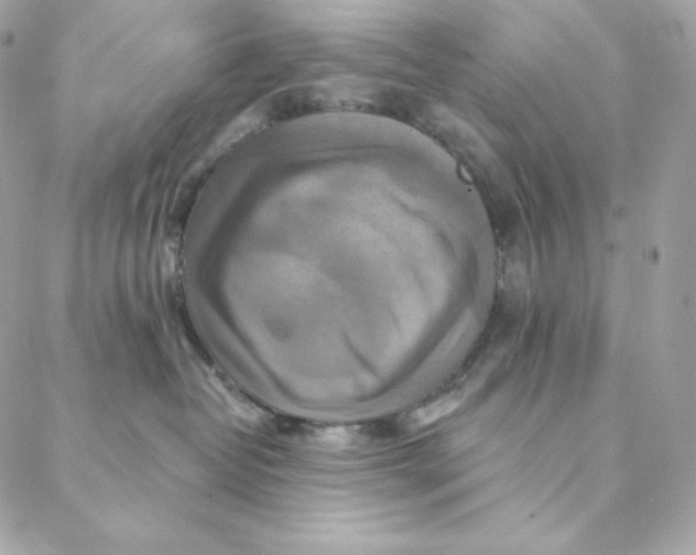 X0000088200382200706051238