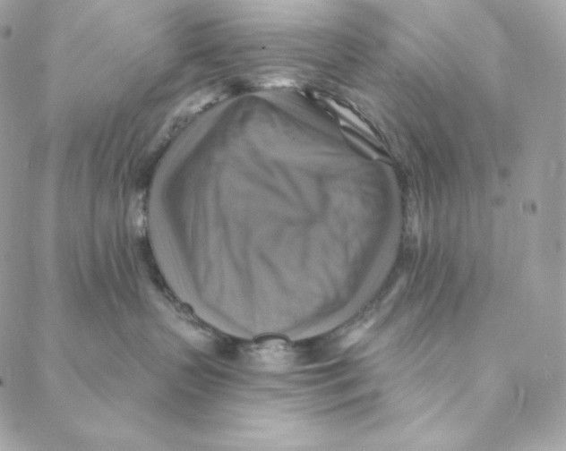 X0000088200383200706051238