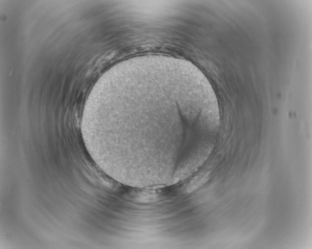 X0000088200384200706051238