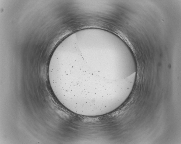 X0000088200386200706051237