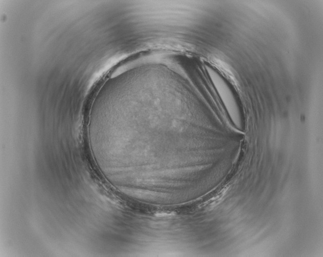 X0000088200388200706051237