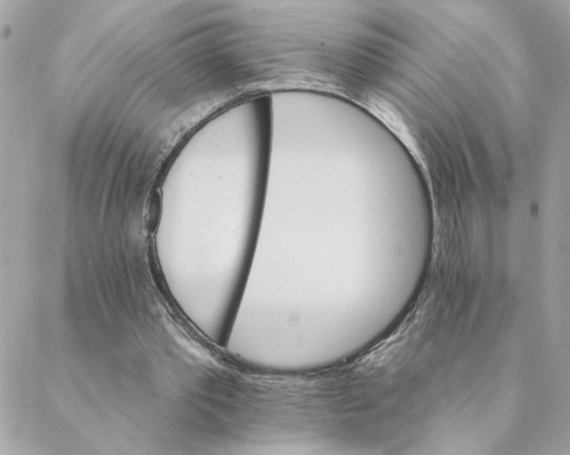 X0000088200389200706051237