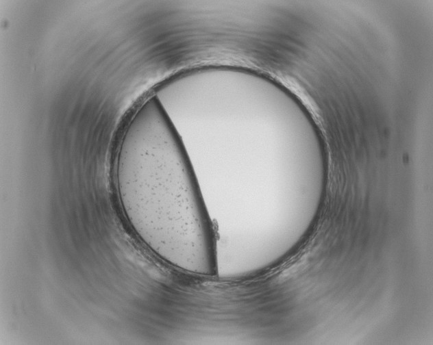 X0000088200391200706051237