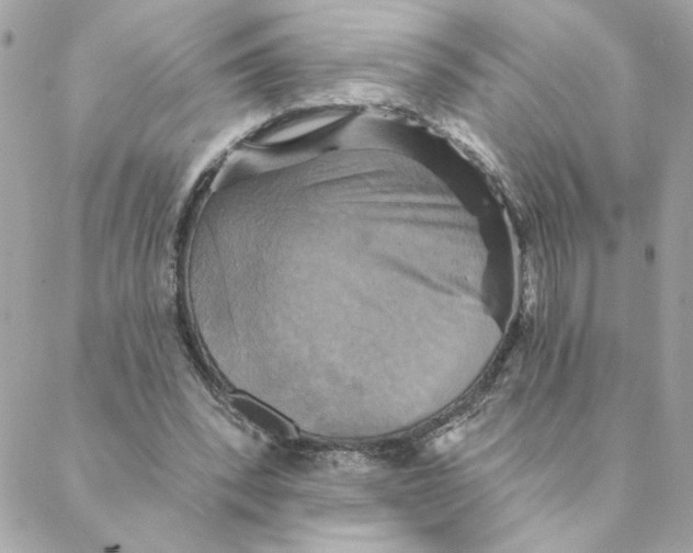 X0000088200392200706051237