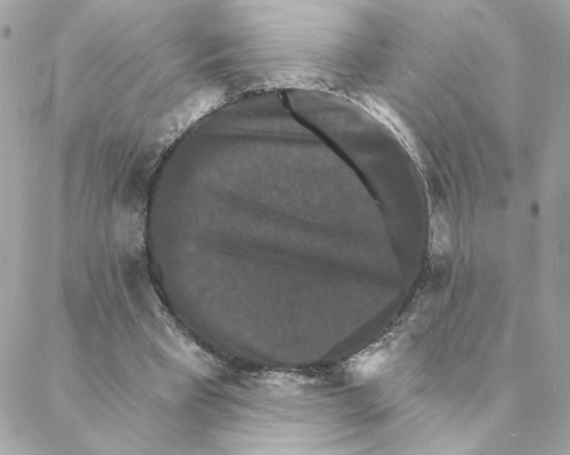 X0000088200393200706051237