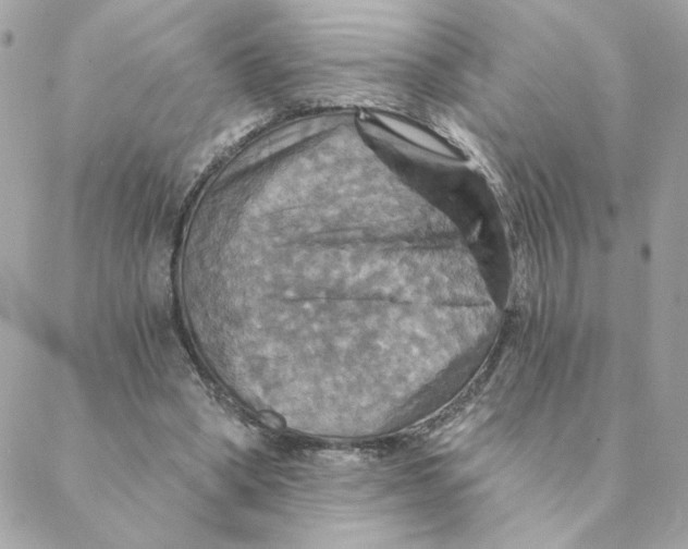 X0000088200394200706051237