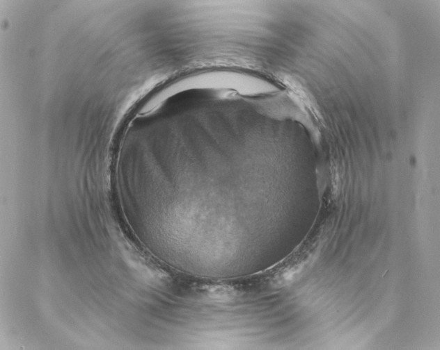 X0000088200395200706051237