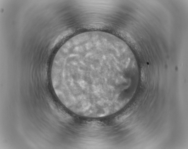 X0000088200396200706051237