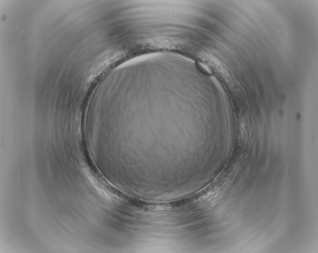 X0000088200398200706051237