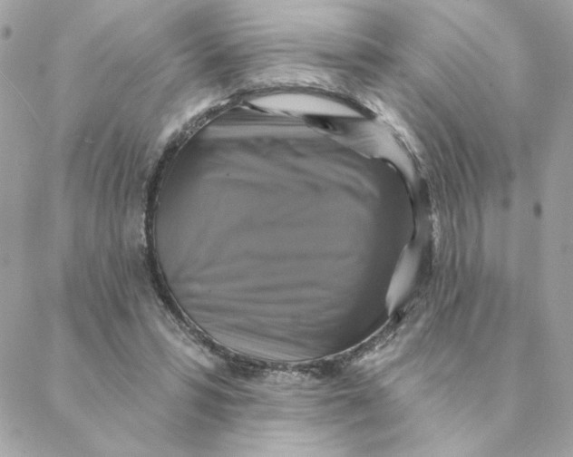 X0000088200399200706051237