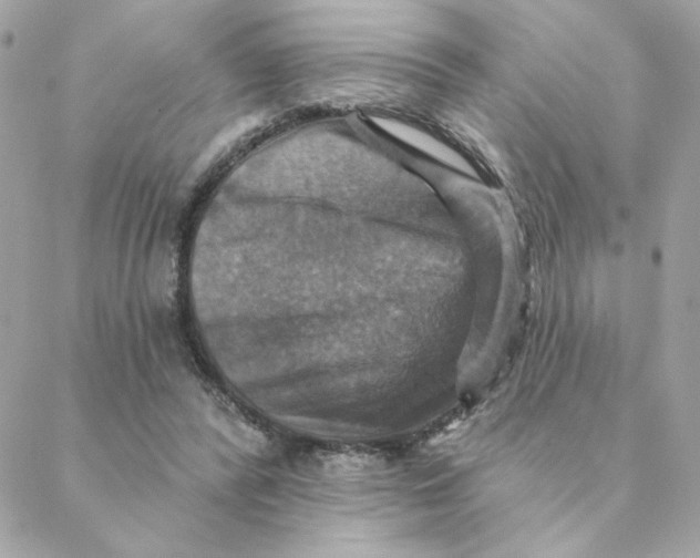 X0000088200400200706051237