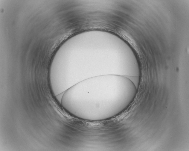 X0000088200401200706051237