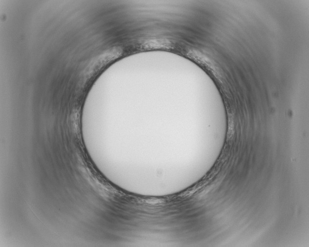 X0000088200402200706051237