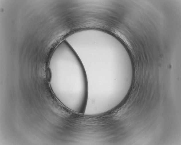 X0000088200403200706051237