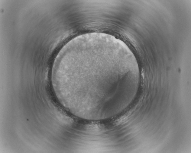 X0000088200404200706051237