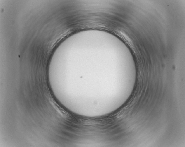 X0000088200405200706051237