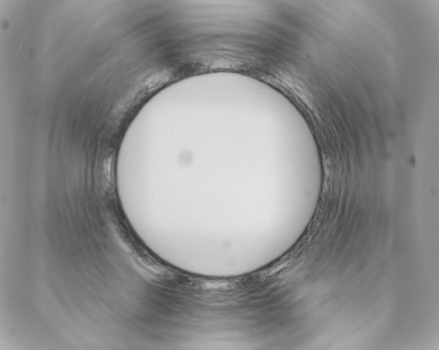 X0000088200406200706051237