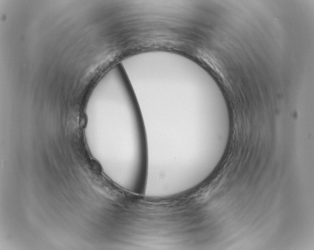 X0000088200407200706051237