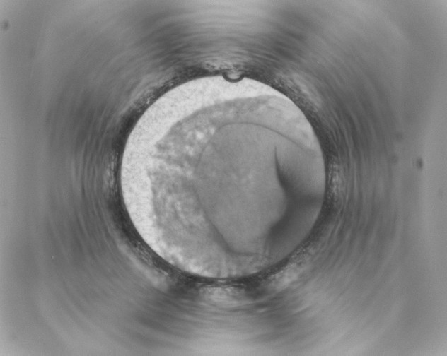 X0000088200408200706051237