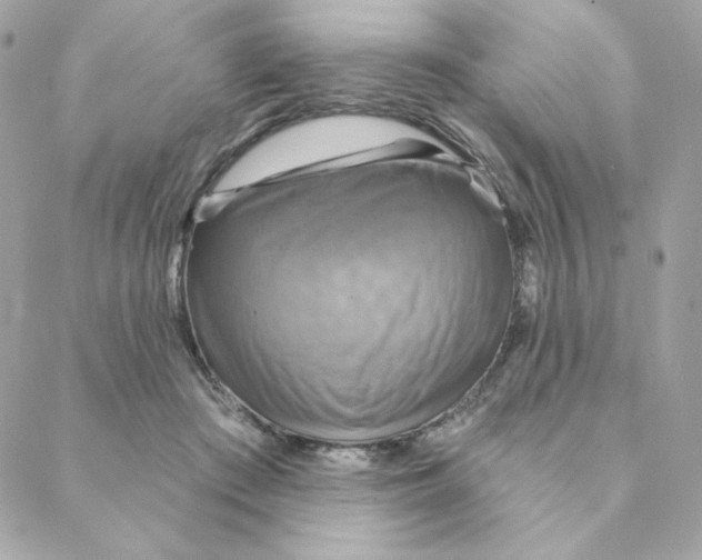 X0000088200409200706051237