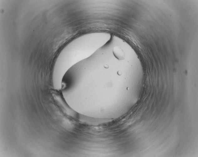 X0000088200411200706051237