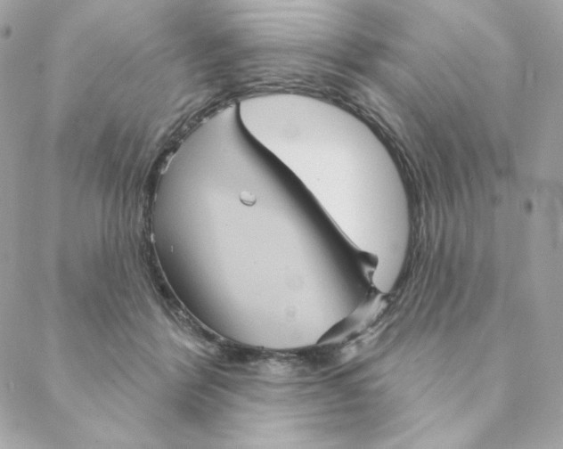 X0000088200412200706051237