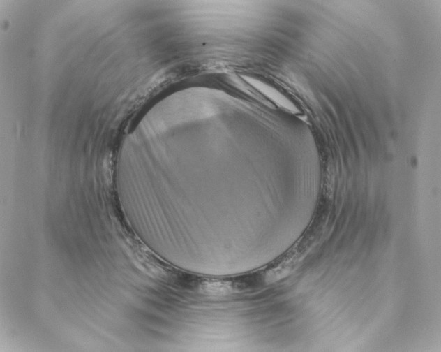 X0000088200413200706051237