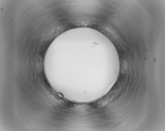 X0000088200414200706051237