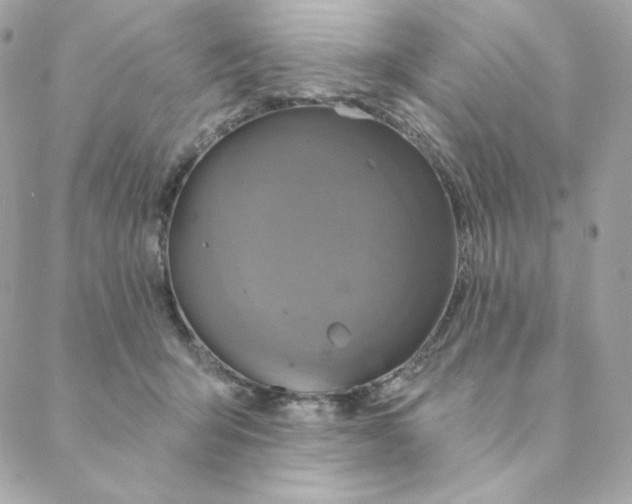 X0000088200415200706051237