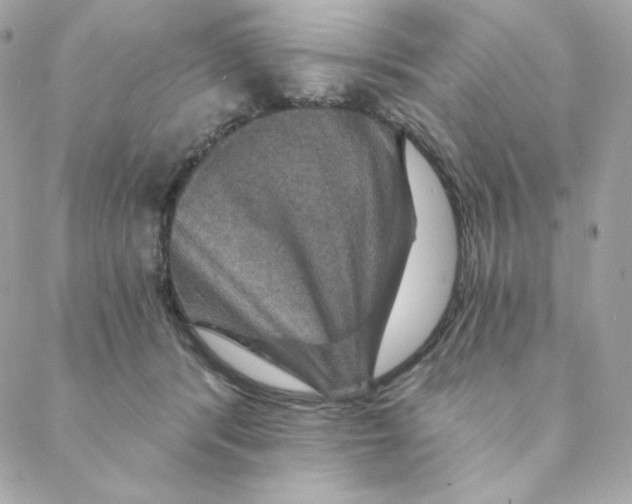 X0000088200416200706051237