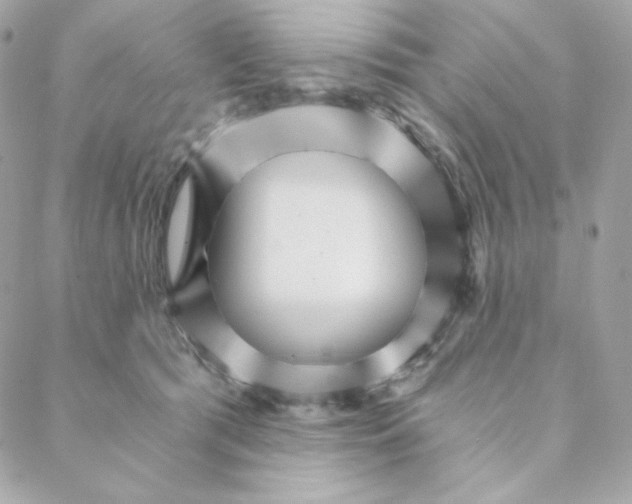 X0000088200417200706051237