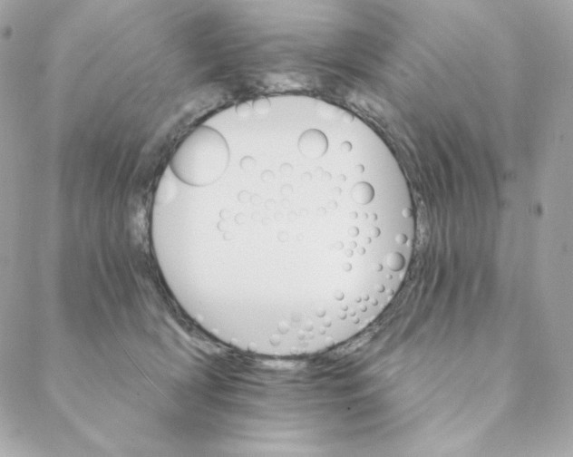 X0000088200418200706051237