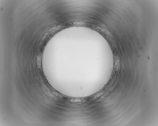 X0000088200419200706051237