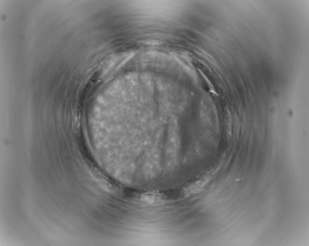 X0000088200420200706051237