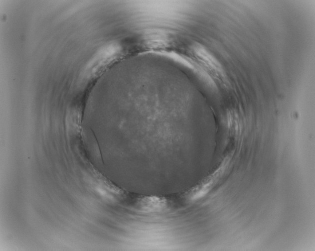 X0000088200421200706051237