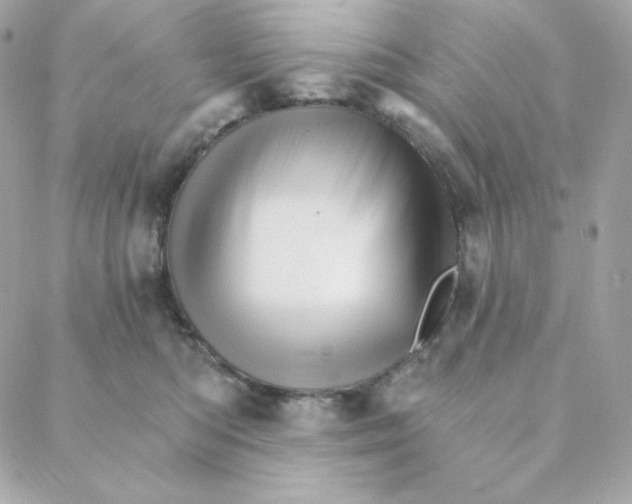 X0000088200422200706051236