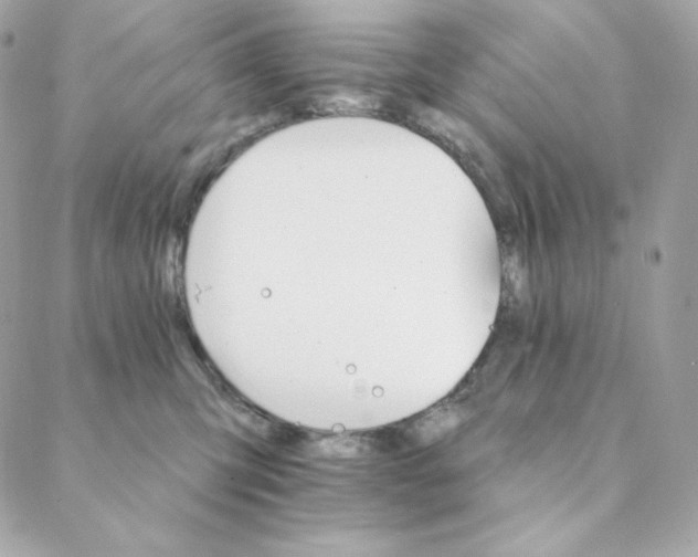 X0000088200423200706051236