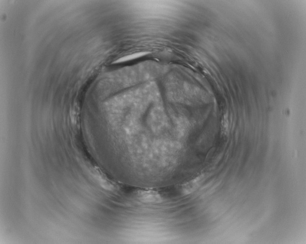 X0000088200424200706051236