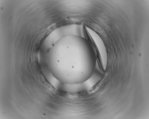 X0000088200425200706051236