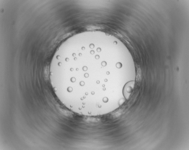 X0000088200426200706051236