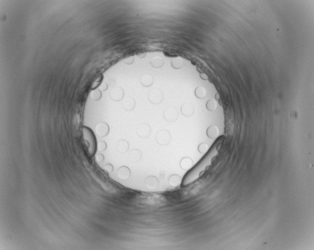 X0000088200427200706051236