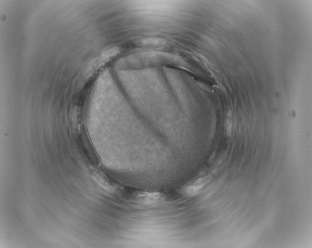 X0000088200428200706051236