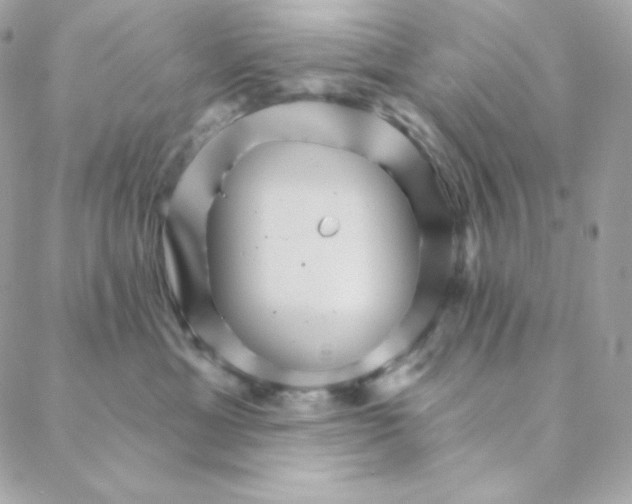 X0000088200429200706051236