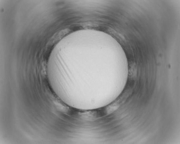 X0000088200430200706051236