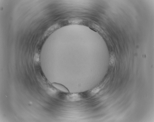 X0000088200431200706051236