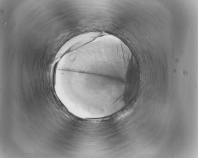 X0000088200432200706051236