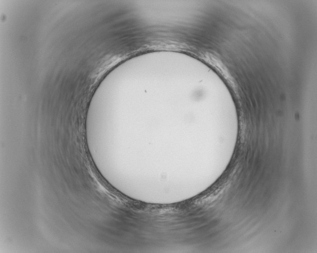 X0000088200433200706051236