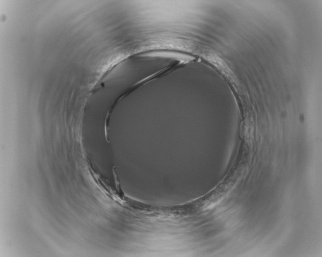 X0000088200434200706051236