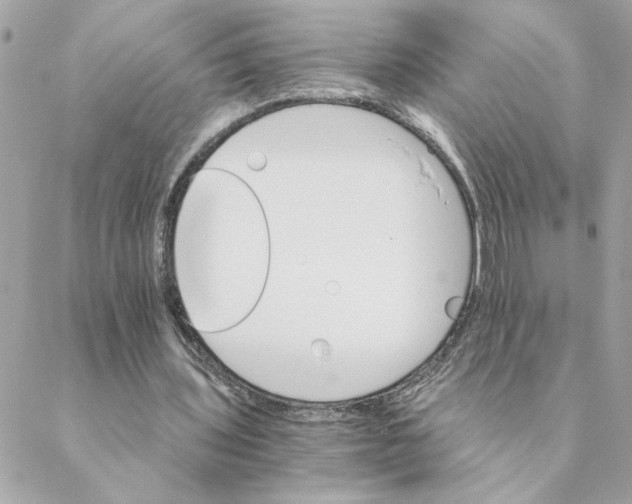 X0000088200435200706051236