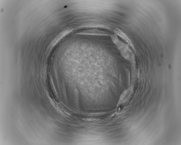 X0000088200436200706051236